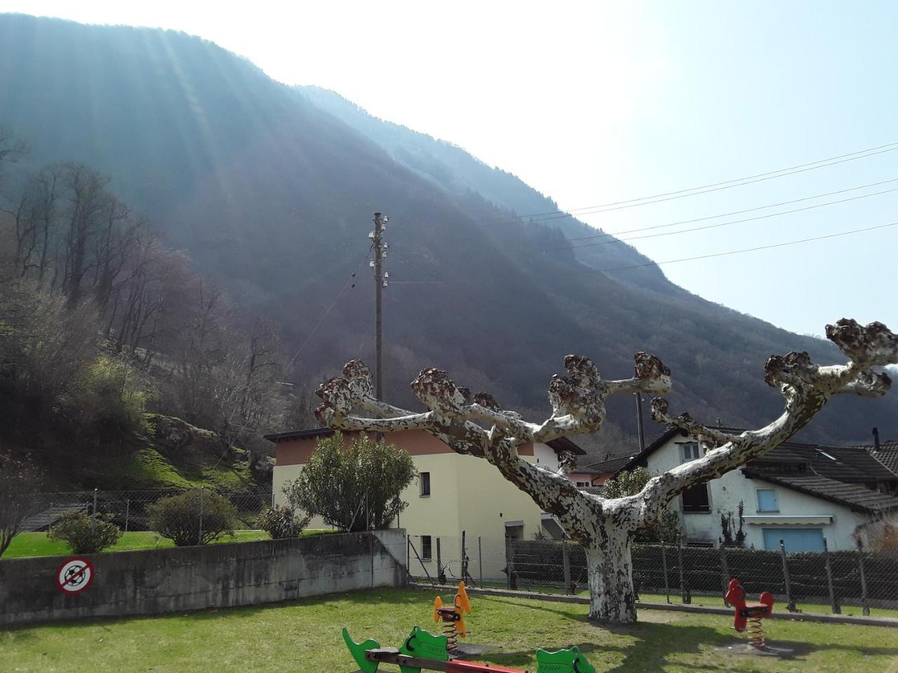 Holidays Homes Il Folletto 콰르티노 외부 사진